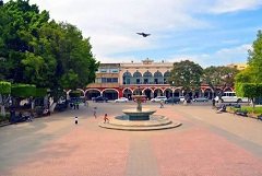cd guzman